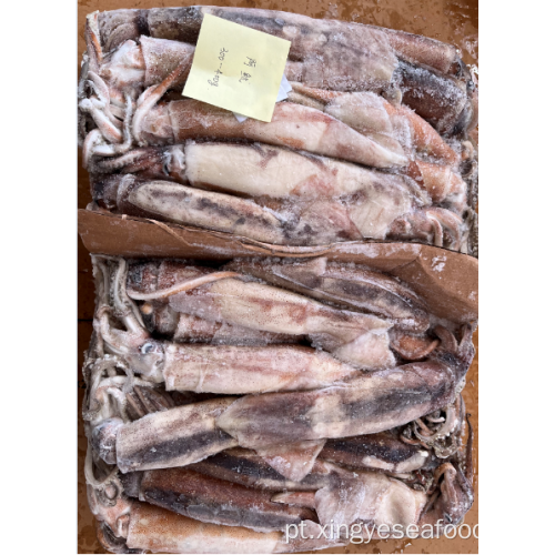 Congelado illex argentino inteiro round squid 300-400g